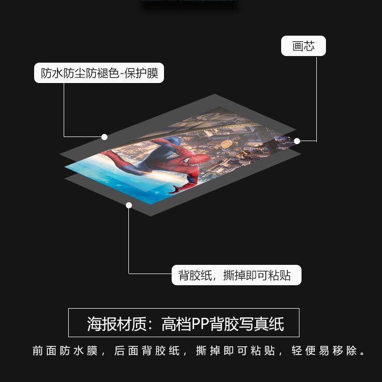 不时用俄语小声说真心话的邻桌艾莉同学动漫挂画海报卷轴周边定制 - 图2