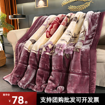 Double Layer Thickened Rascher Blanket Autumn Winter Warm Suede Blanket Single Double Wedding Wedding Blanket Coral Suede Blanket Blanket