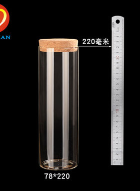 台典 DIY创意许愿瓶星星幸运星瓶大号 小布丁玻璃瓶密封木塞 透明