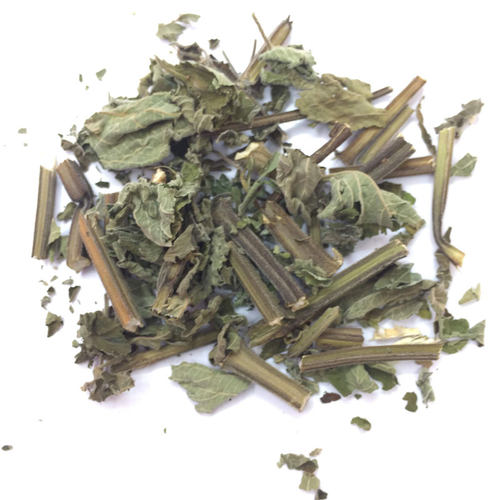 客家野生抹草防风草落马衣假紫苏马衣叶四方茎臭草稀签草排去风草 - 图3