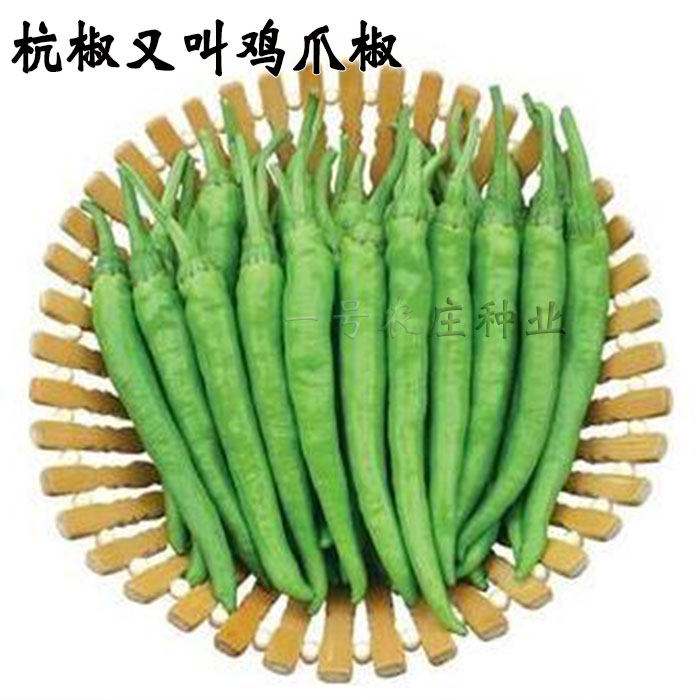 杭椒种子辣椒种籽苗鸡爪椒阳台盆栽蔬菜蔬果种孑超长线椒青椒四季_虎窝淘