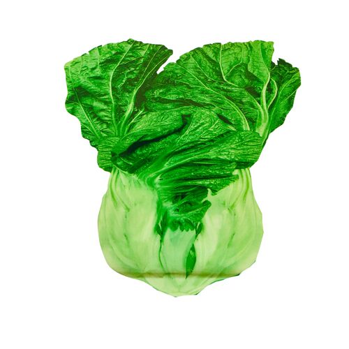 包心青菜种籽宽帮泡青菜四川芥菜酸菜春夏秋冬四季播蔬菜种子孑 - 图3