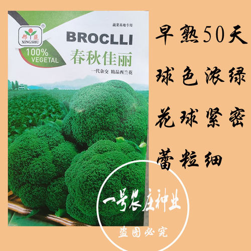 西兰花种籽西兰花种子蔬青甘蓝包菜花菜种籽花籽孑西蓝花四季高产 - 图0
