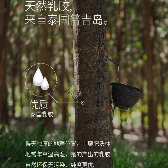 泰国乳胶枕头原装进口天然橡胶护颈椎儿童硅胶枕芯正品官方旗舰店,淘宝优惠券,粉丝福利购,淘宝优惠卷