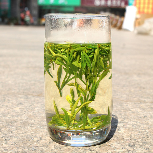 现货2026新茶黄茶雨前茶霍山黄芽250g罐装大化坪原产生态源茶叶 - 图1