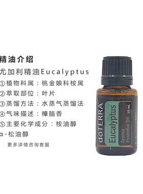 美国多特瑞尤加利植物精油