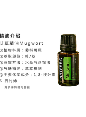 多特瑞艾草精油单方15ML