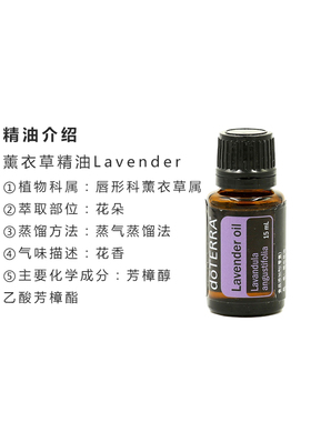 美国薰衣草15ml全身精油