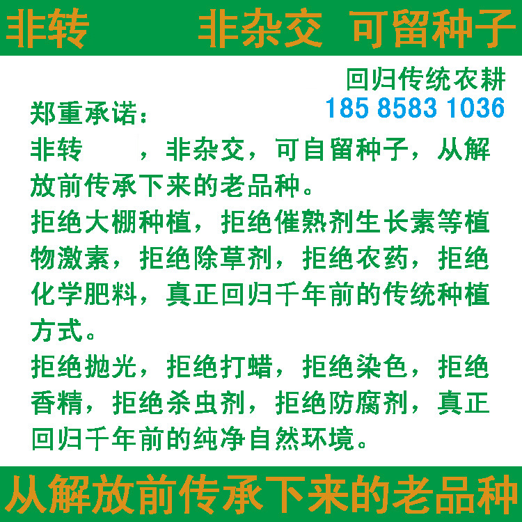 洋西早 贡米 初白米 籼米大米 古老品种 有机种植 原种非转基因 - 图2