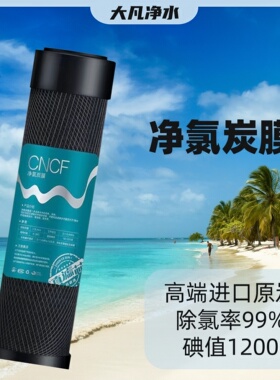 高端进口原炭1200高碘值超强吸附椰壳活性炭净氯炭前后置大T小T