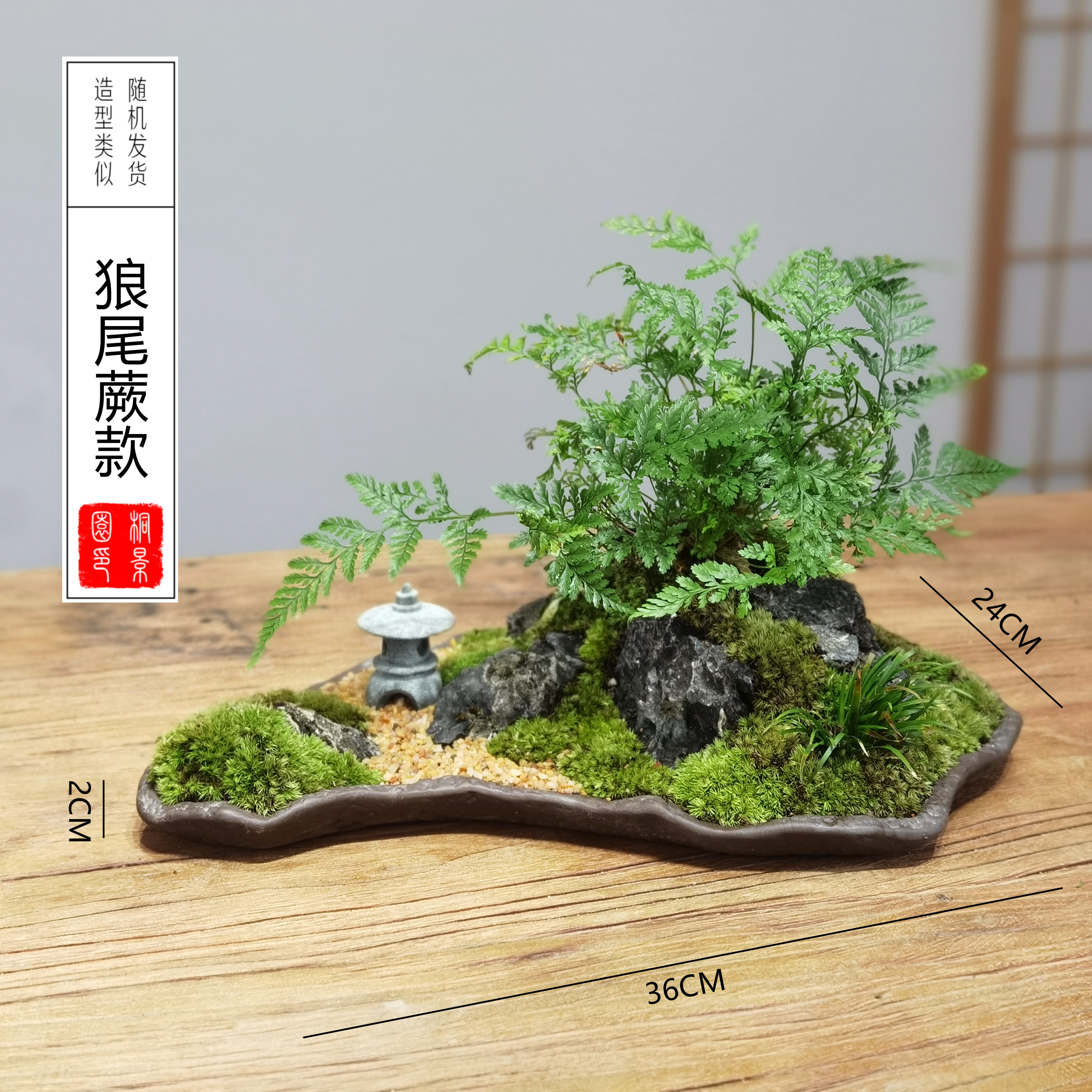 促案台清供摆件植物苔藓微景观室内盆景四季常青茶几花架会客室品 - 图1