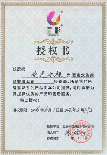 【鱼症咨询】蓝彩保真蓝彩菌王1号新鱼入缸交叉感染水霉黑体白膜 - 图0