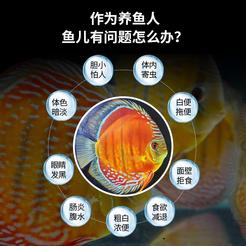 HCP神面改良水质避免七彩神仙鱼狗头鱼白便肠炎内寄食欲减退拒食 - 图0