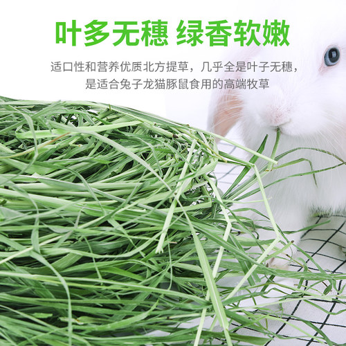 兔牙妹 烘干提摩西草提木西草兔兔龙猫豚鼠荷兰猪北提干草   包邮 - 图0