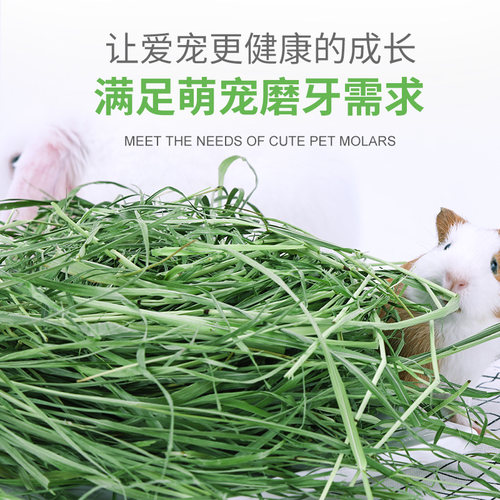 兔牙妹 烘干提摩西草提木西草兔兔龙猫豚鼠荷兰猪北提干草   包邮 - 图1