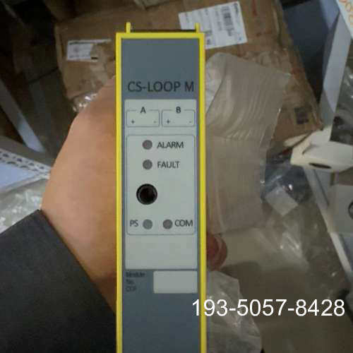 原装正品Consilium CS-LOOP M模块，型号CS-LOO价格详谈 - 图1