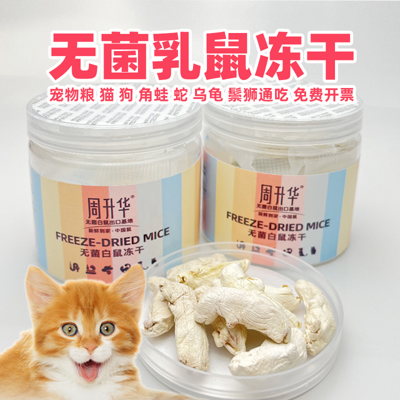 大乳鼠冻干冰冻小白鼠喂蛇鳄鱼猫狗藏獒鬃狮猫头鹰蜥蜴角蛙粮食物 - 图0