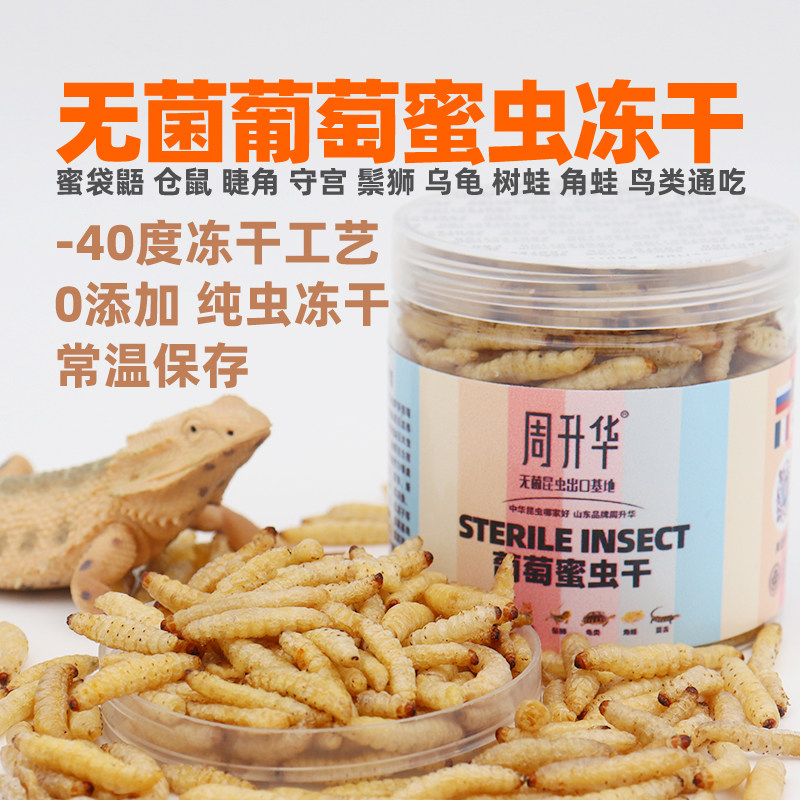 无菌葡萄蜜虫蜂蜜玉米虫冻干仓鼠守宫鬃狮蜥蜴乌龟蜜袋鼯角蛙粮食,淘宝优惠券,粉丝福利购,淘宝优惠卷