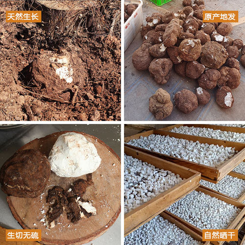 哀牢彝家云南茯苓正品中1kg无硫配山药干丁粉白伏苓云苓 - 图2