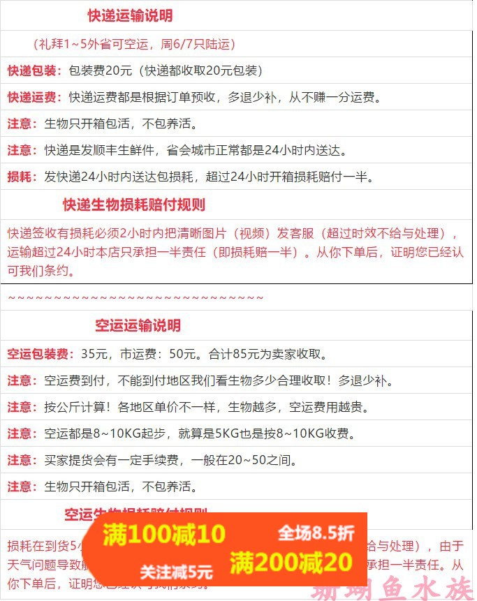顺丰包活海水鱼网鲽人字蝶霞红尾珍珠霞鲽碟鱼三间火箭黄火箭神像 - 图2