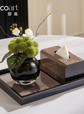 客厅茶几收纳托盘纸巾盒摆件高级