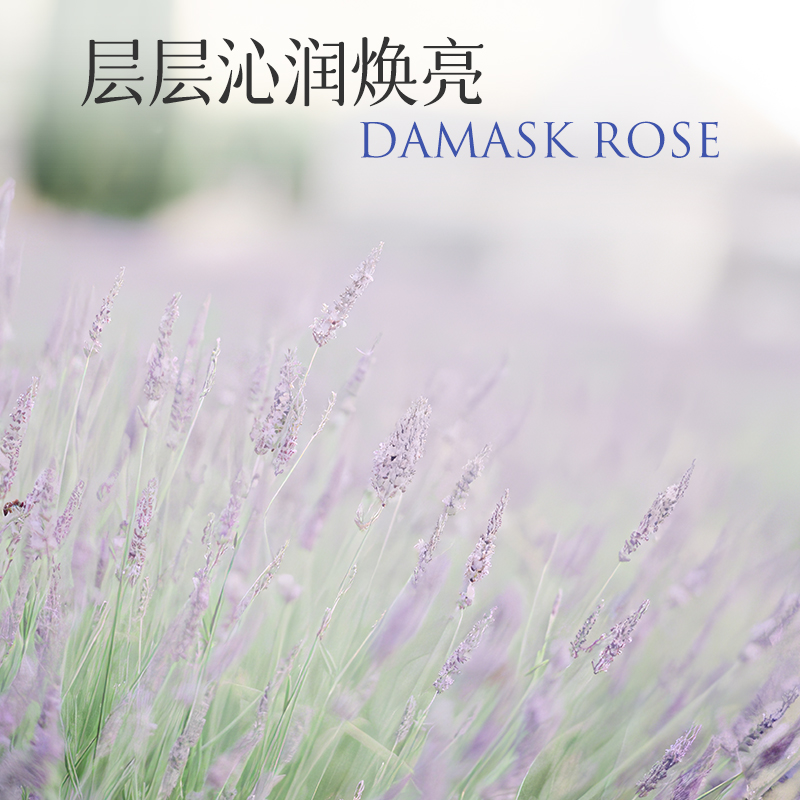 原生欧芙兰薰衣草单方10ml面部香薰 NASENTEL OPHERA单方精油