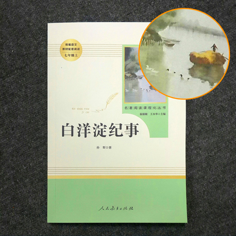 人民教育出版社白洋淀纪事军事小说原版书籍小学生初中生三四五六七年级课外书必读畅销书文学经典世界名著-图1