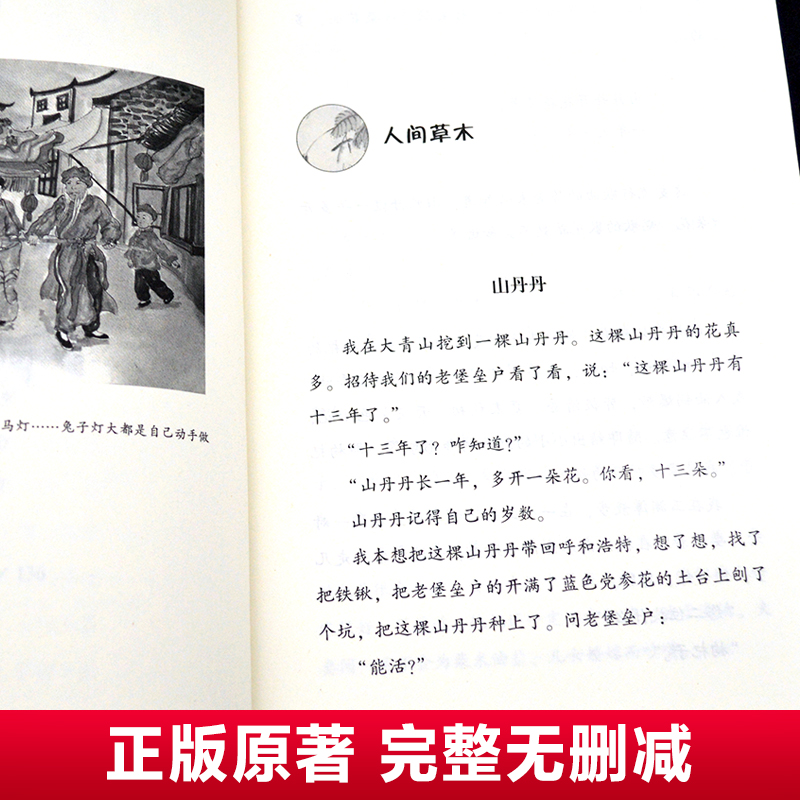 正版汪曾祺散文精选集昆虫备忘录三年级下册课外书必读老师推荐经典小学语文同步阅读统编教材配套大字彩图儿童版长江文艺出版社 - 图2