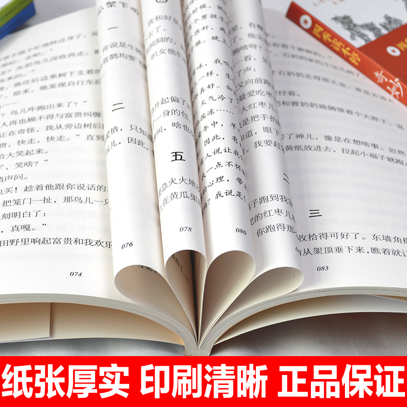 正版湖南少年儿童出版社带刺的朋友四季读不停丛书宗介华三年级必读书目人教版畅销儿童文学故事书老师推荐小学生课外阅读书籍-图2