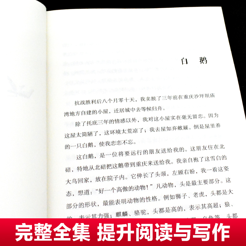 长江文艺出版社白鹅丰子恺散文集四年级下册课外书必读老师推荐经典小学语文同步阅读统编教材配套大字彩图儿童版课文作家作品系列 - 图2