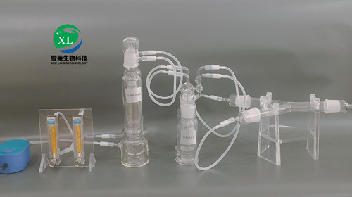昆虫嗅觉仪超静音型简易款y形管昆虫嗅觉仪 经济实惠雪莱厂家直销 - 图0