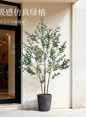 仿真绿植橄榄树高端轻奢大盆栽室内装饰摆件客厅落地仿生假树植物