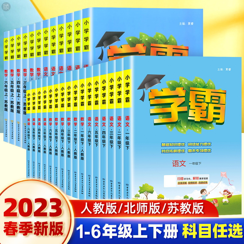 2024春小学学霸一二三四五六年级上册下册语文人教版数学北师大江苏教版英语译林同步教材练习册课时作业本提优大试卷专项训练五星