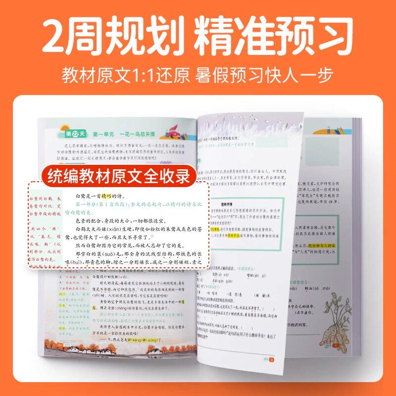 2024新版阳光同学暑假衔接阅读+口算题+同步练字帖一二三四五升六年级下册语文课外阅读理解专项训练书人教版暑期同步练习册天天练