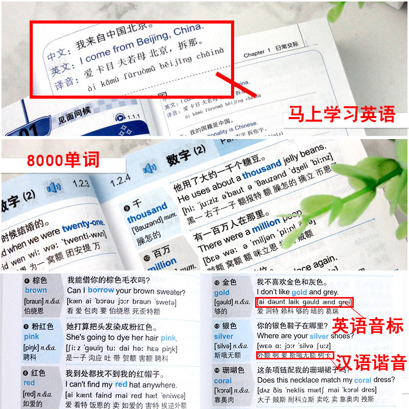 英语口语马上说+马上说8000单词英语单词速成学习口语零基础会中文就会说英文英语口语教材书籍一学就会自学日常交际实用大全