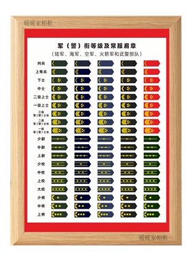陆海空军衔等级肩章图鉴相框