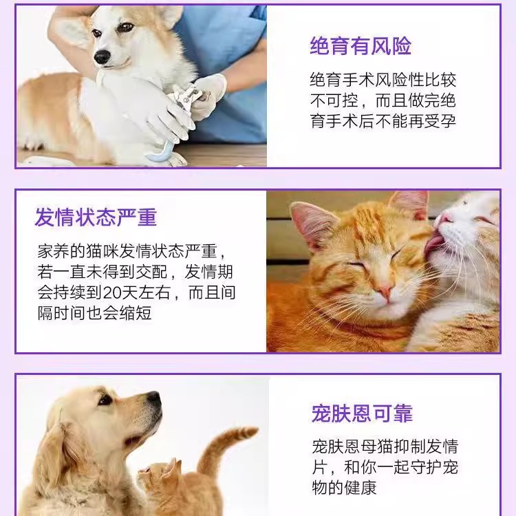 宠肤恩猫咪禁情粉母猫安抑制发情防止乱叫乱尿缓解厌食宠物抑情片 - 图1