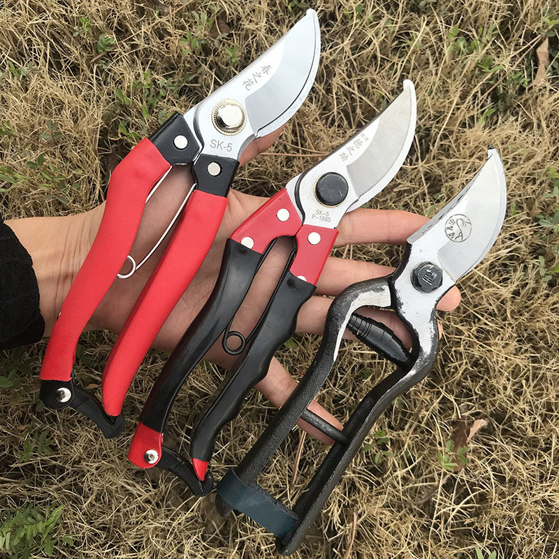 老式铁匠锻打土枝剪望儿山果树剪刀修枝剪园艺小剪刀修树枝古董剪,淘宝优惠券,粉丝福利购,淘宝优惠卷