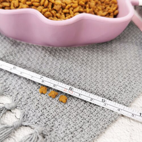 皇家猫粮BK34奶糕10公斤孕猫繁育母猫粮营养通用猫咪幼猫猫粮10kg - 图1