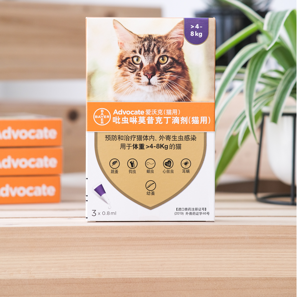 德国拜耳爱沃克驱虫药3支成幼猫宠物猫咪狗狗体内外驱虫滴剂犬用 - 图0