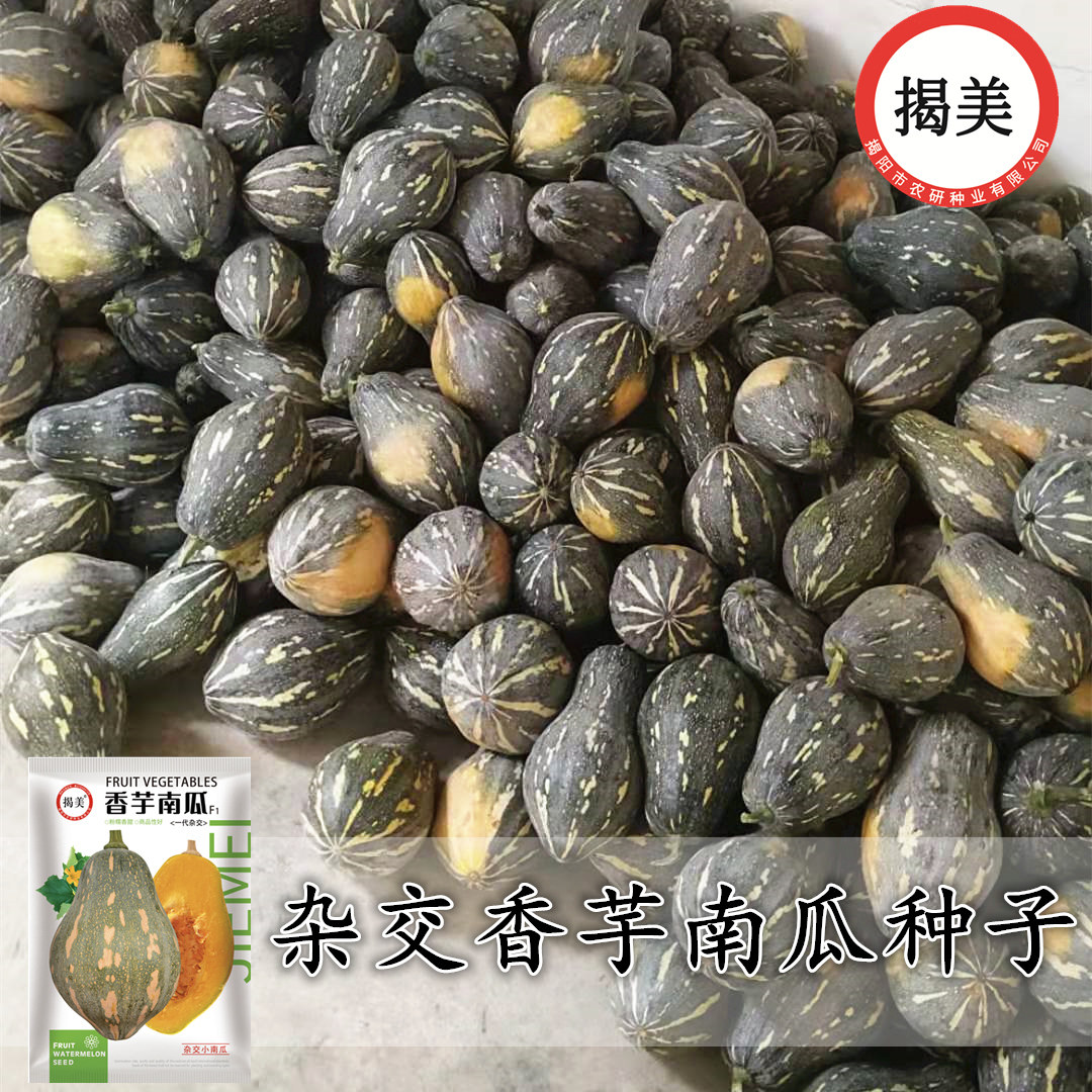 揭美香芋南瓜种子 杂交一代浓香甜糯香芋风味 高产粉南瓜蔬菜种子,淘宝优惠券,粉丝福利购,淘宝优惠卷