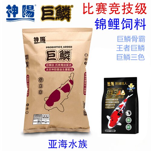 神阳巨鳞锦鲤饲料巨鳞骨霸王者红白三色增色增体比赛级专业鱼粮 - 图0