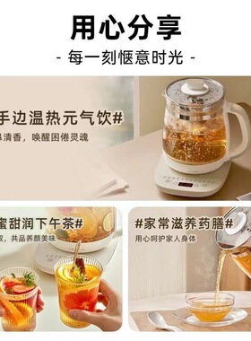 小熊1.8升多功能养生壶家用办公
