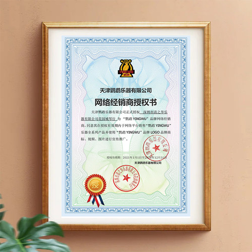 鹦鹉牌手风琴乐器96贝司斯三排簧儿童初级学者入门考级专业演奏琴 - 图2