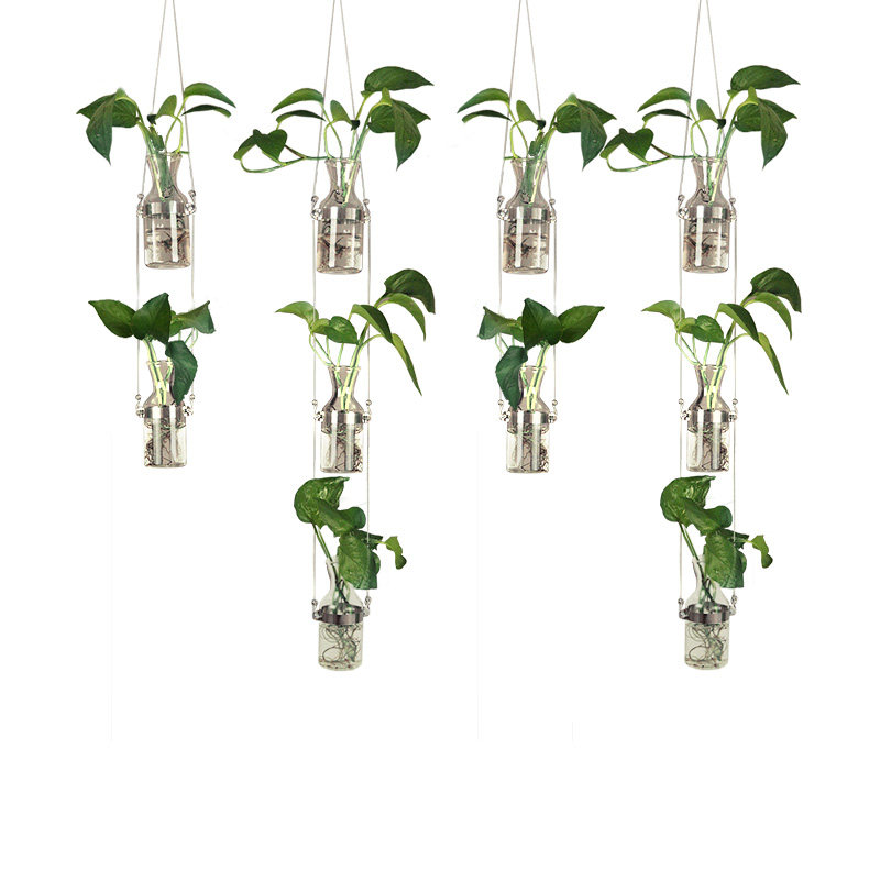 创意轻奢玻璃水培花瓶绿植隔断家居幼儿园植物风铃墙上装饰品挂件,淘宝优惠券,粉丝福利购,淘宝优惠卷