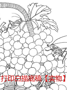 工笔画打印白描底稿素材初学者临摹练习斗方团扇花鸟竖幅DY装饰画