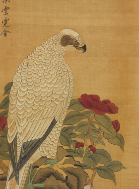 工笔画打印白描底稿竖幅花鸟图鹰高清线描用于初学者临摹创作参考