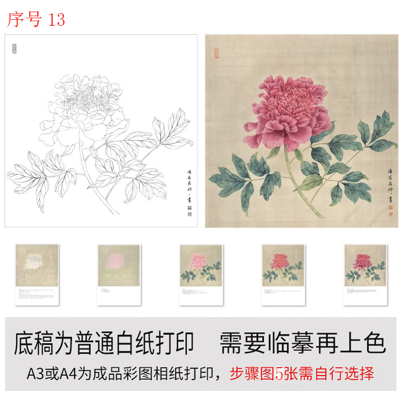有步骤图工笔画打印白描底稿没骨牡丹用于初学者临摹勾线练习上色,淘宝优惠券,粉丝福利购,淘宝优惠卷