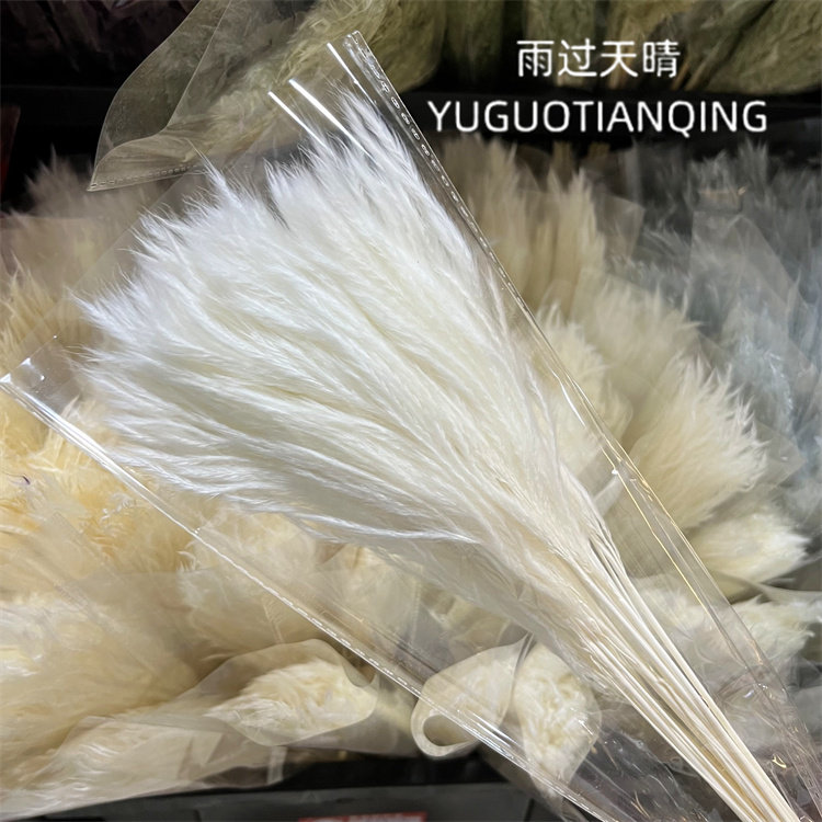 拂尘芦苇干花花束小芦苇金丝草天然干花瓶插花花束配花家居装饰,淘宝优惠券,粉丝福利购,淘宝优惠卷