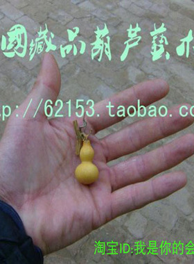 把玩葫芦种子文玩手把小葫芦种子